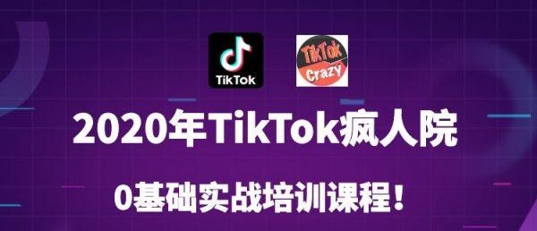 2020年最新短视频疯人院：Tiktok零基础实战训练营第3期 价值999元