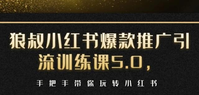 狼叔小红书爆款推广引流训练课5.0 手把手带你玩转小红书（17节实操视频+话术）