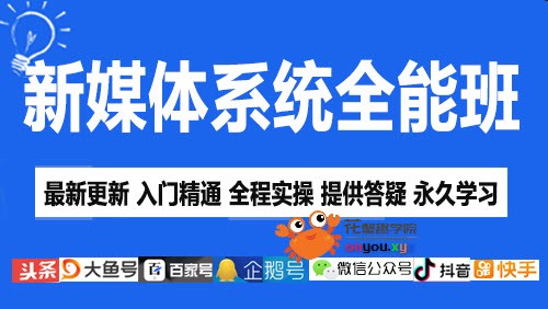 新媒体营销自媒体运营入门到精通（视频课程84课时）