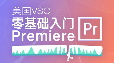 高高手：美国VSO：2019零基础入门Premiere+素材 完整89节教程价值198元