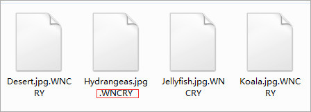 20220111020638227377703