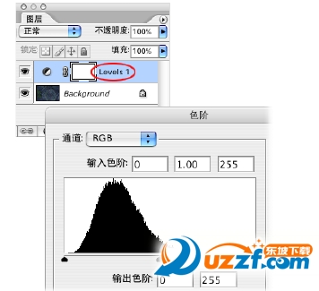 20220115182613856502206