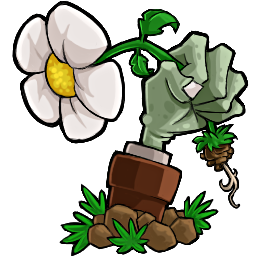植物大战僵尸最新官方安装版
