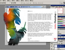Adobe Photoshop CS 8.0 简体中文安装版(附注册号)