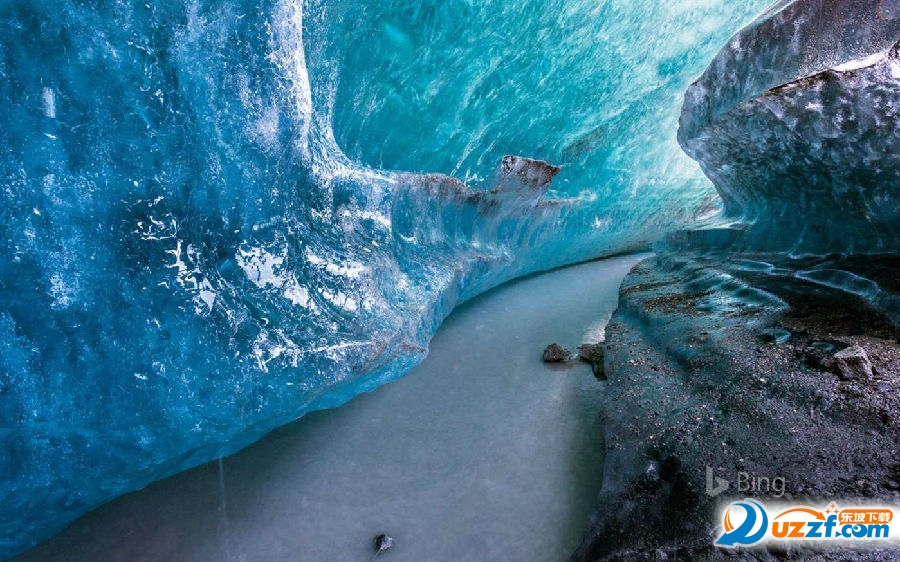 20220124195024829030401