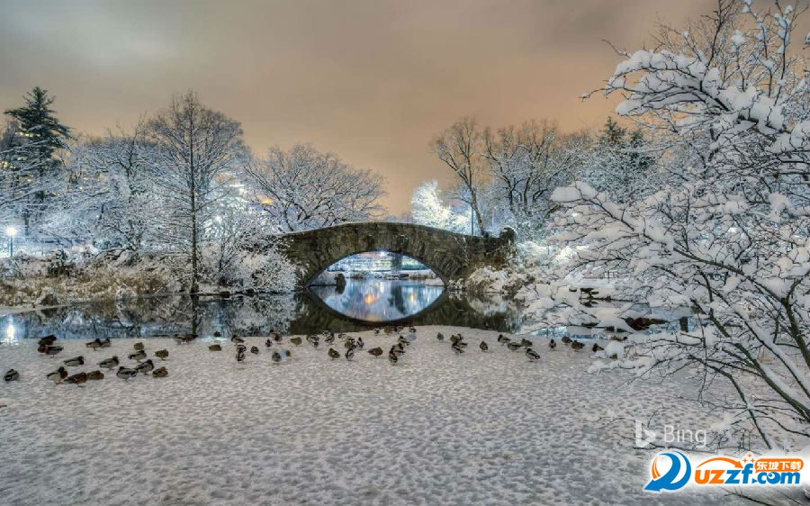 20220124195025661527402