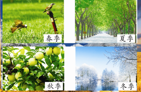 人教部编版一年级语文下册课件PPT合集