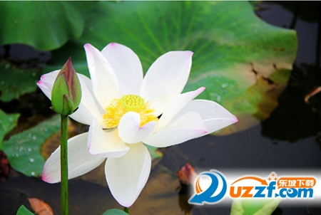 202201310640068491320000