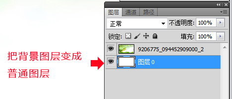 202201310642043131740003