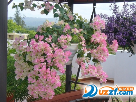 202201312113491763200000