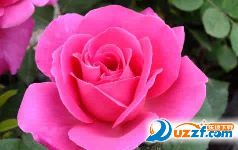 202201312113499632810001