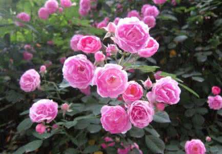 202201312113506549570002