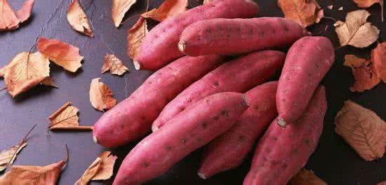 202201312113535422420000