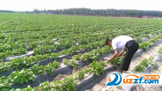 202201312113543529780001