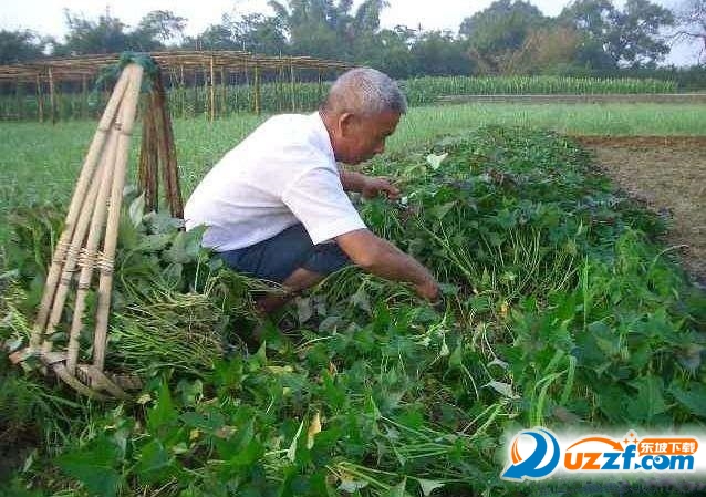 202201312113553794090002