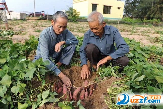 202201312113563503170003