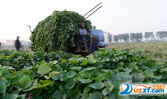 202201312113572484520004