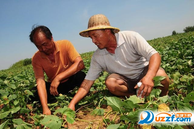 202201312114120697390005