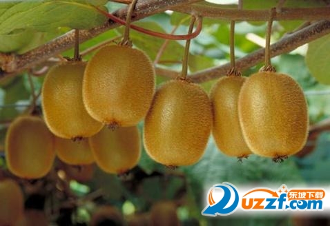 202201312114159785380001