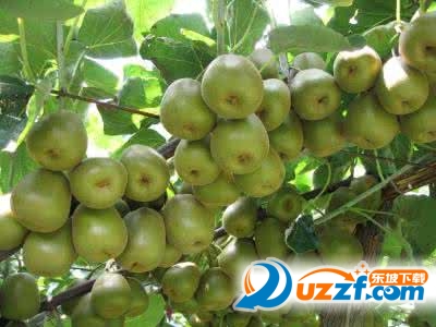 202201312114316965980002