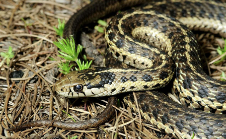 202201312115189960010000