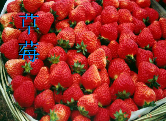 202201312115421639320000