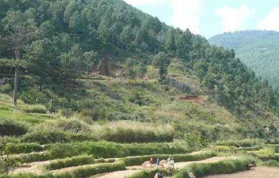 山场租赁合同范本合同